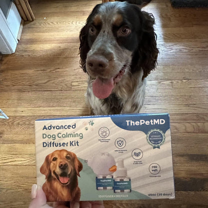 Stop Indoor Peeing And Anxiety In Dogs With This Science-Driven Solution