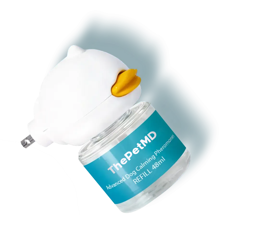 Stop Indoor Peeing And Anxiety In Dogs With This Science-Driven Solution