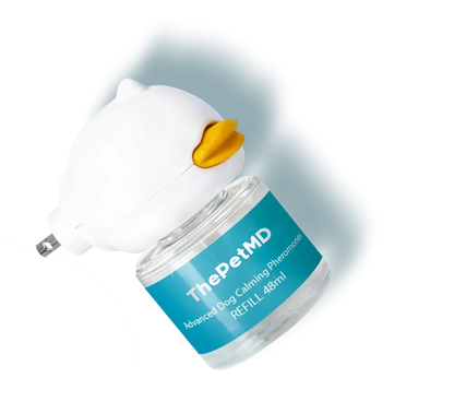 Stop Indoor Peeing And Anxiety In Dogs With This Science-Driven Solution