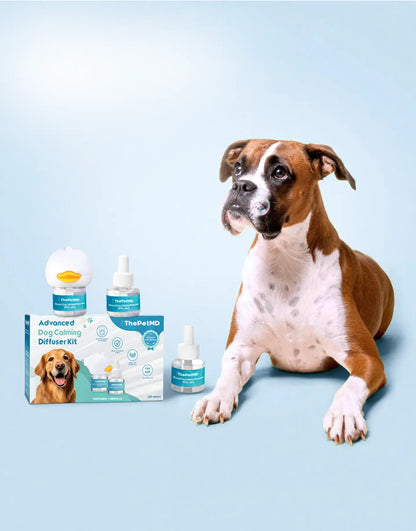 Stop Indoor Peeing And Anxiety In Dogs With This Science-Driven Solution