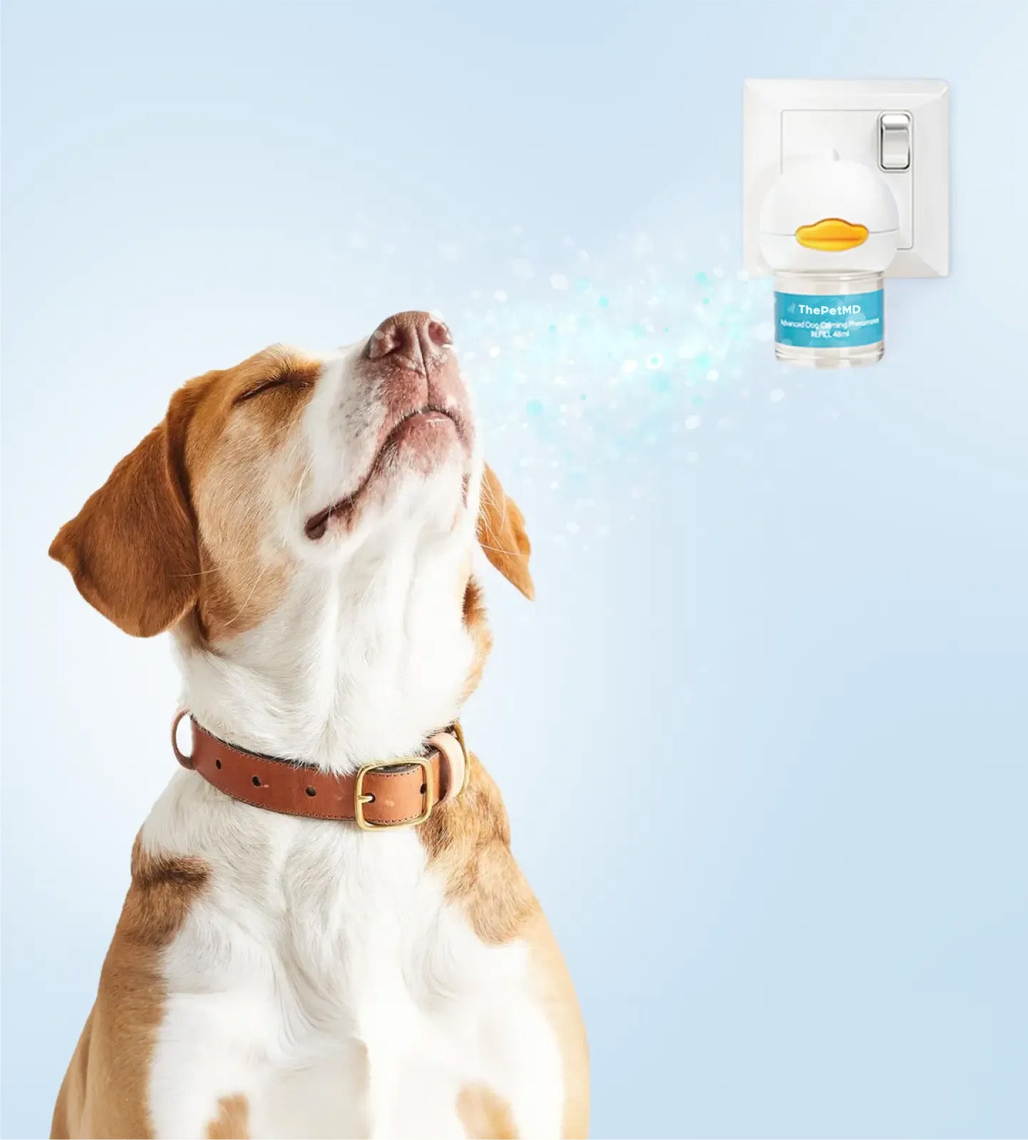 Stop Indoor Peeing And Anxiety In Dogs With This Science-Driven Solution