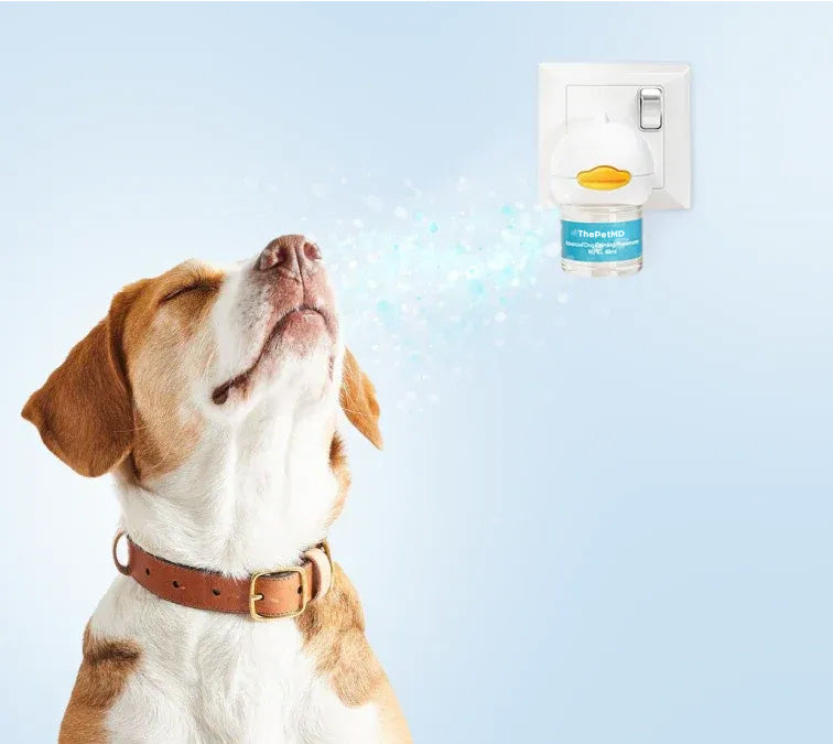 Stop Indoor Peeing And Anxiety In Dogs With This Science-Driven Solution