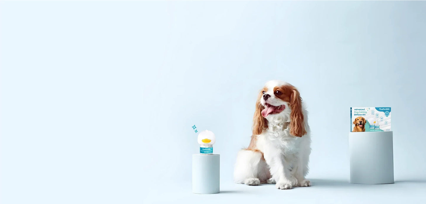 Stop Indoor Peeing And Anxiety In Dogs With This Science-Driven Solution
