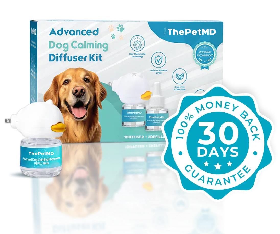 Stop Indoor Peeing And Anxiety In Dogs With This Science-Driven Solution