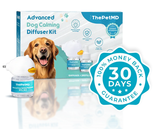 Stop Indoor Peeing And Anxiety In Dogs With This Science-Driven Solution